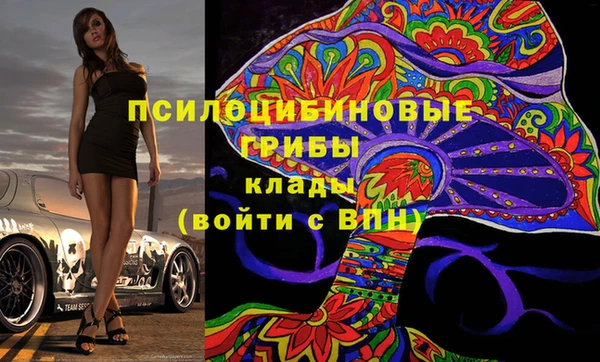 мет Инсар