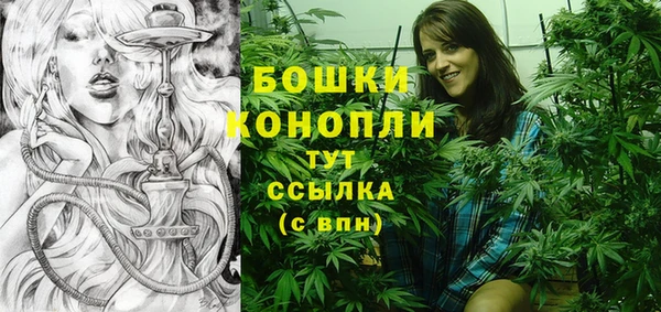 гашик Балахна
