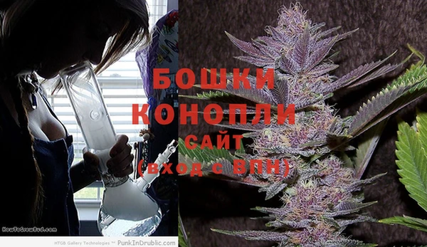 гидропоника Инта