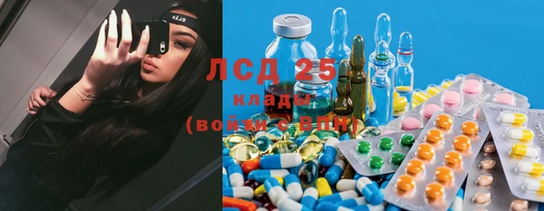 мет Инсар