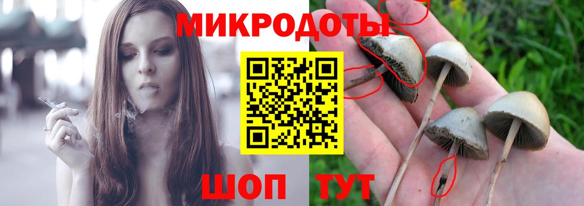 Лесосибирск  Галлюциногенные грибы мицелий  Вход с VPN  Псилоцибиновые грибы Cubensis 